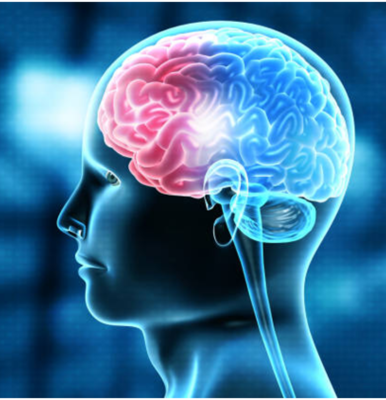 How to Keep Your Brain Healthy: Tips, Diet & Exercise